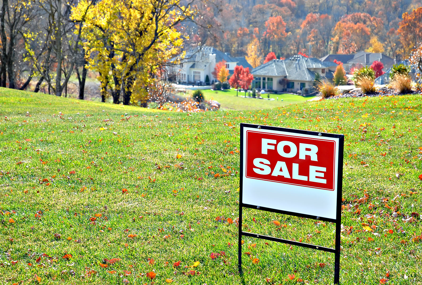 CFor sale sign in grass lot