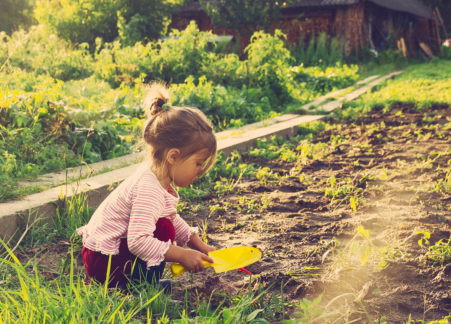 Little girl diggin in garden