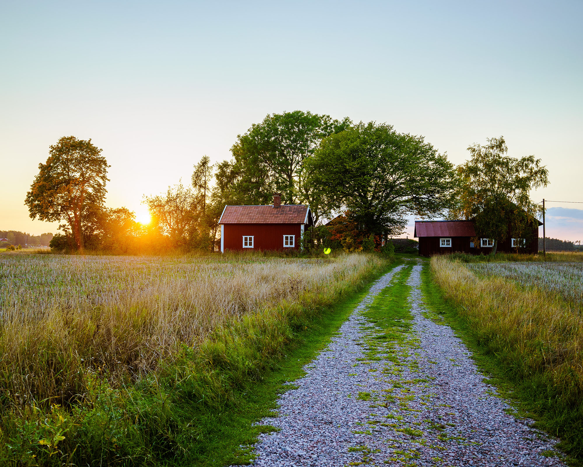 Gravel road leading to farm